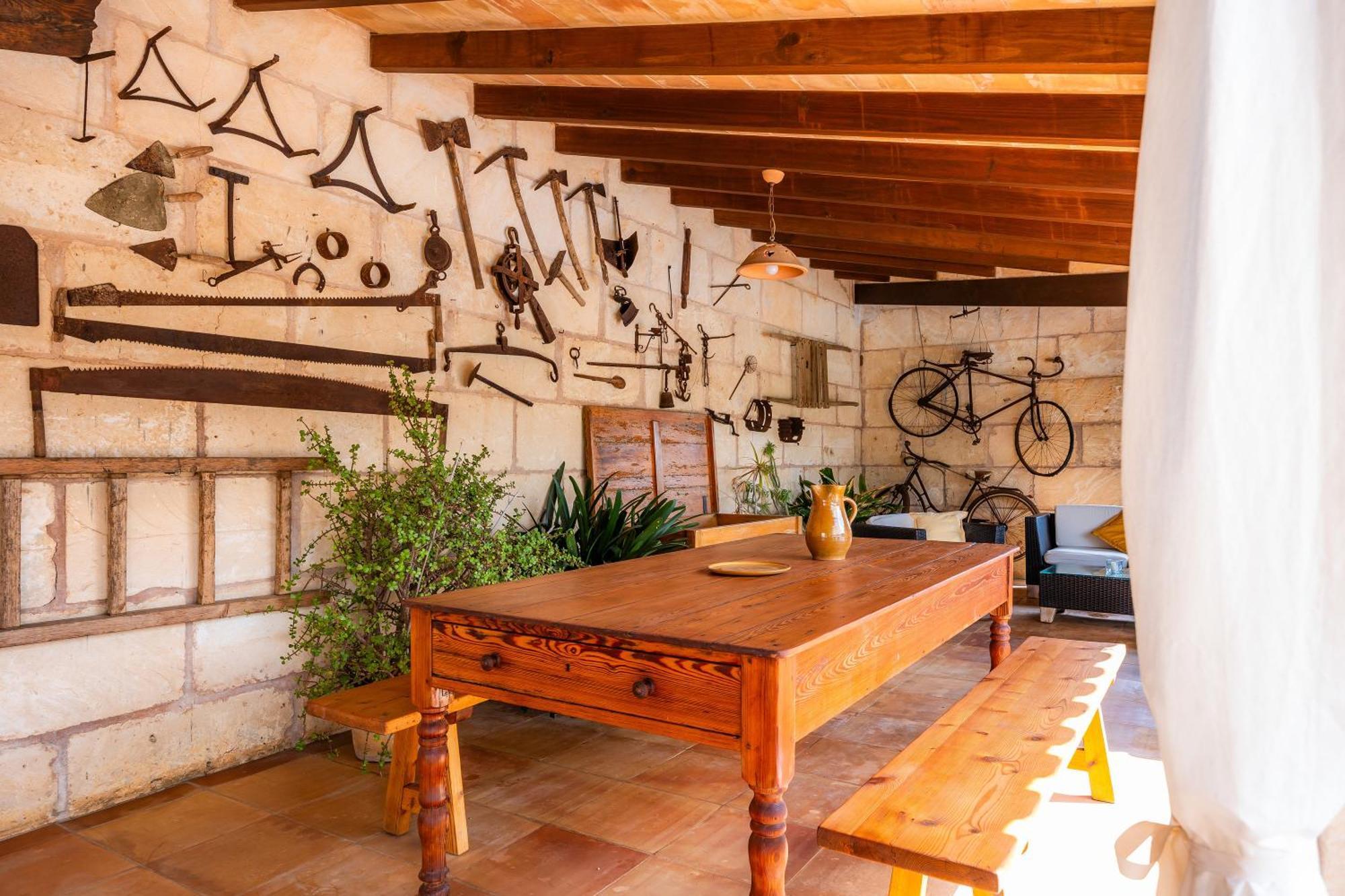 Gat Alcudia (Mallorca)