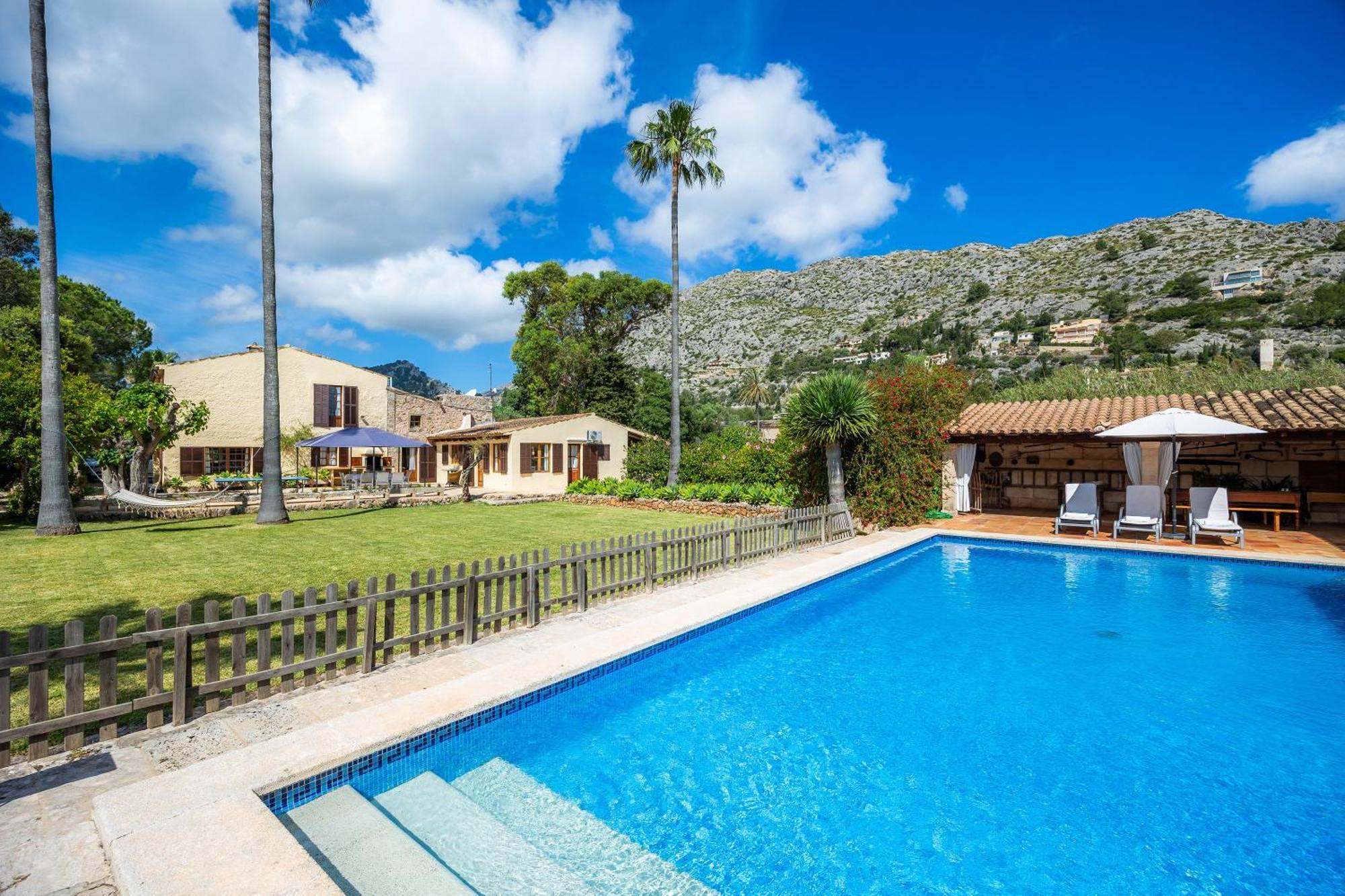 Gat * Alcudia (Mallorca)