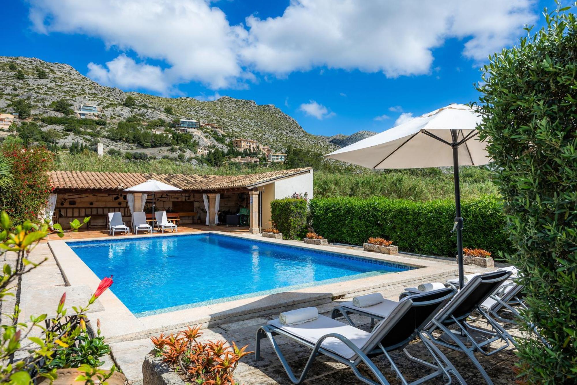 Gat * Alcudia (Mallorca)
